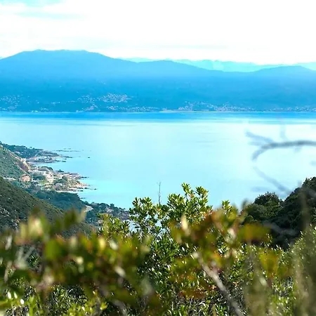 Carlota - Renove Au Coeur De La Vieille - By Tgb *