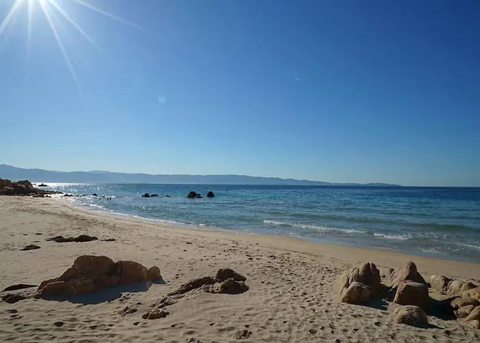 Carlota - Renove Au Coeur De La Vieille - By Tgb Daire *